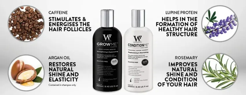 Watermans: Science-Backed Hair Growth and Care for Every Lifestyle